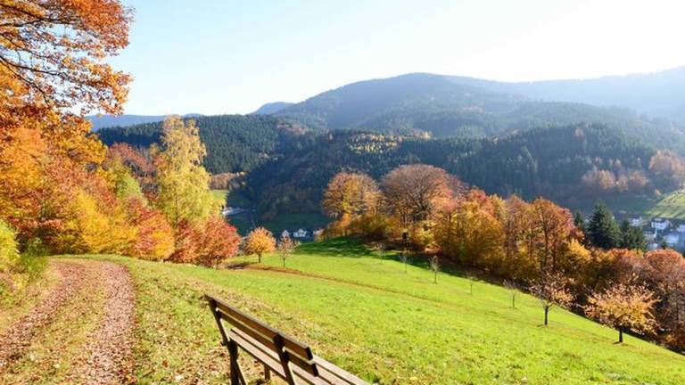 foto13