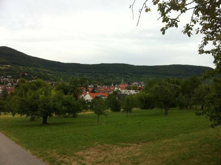 foto13