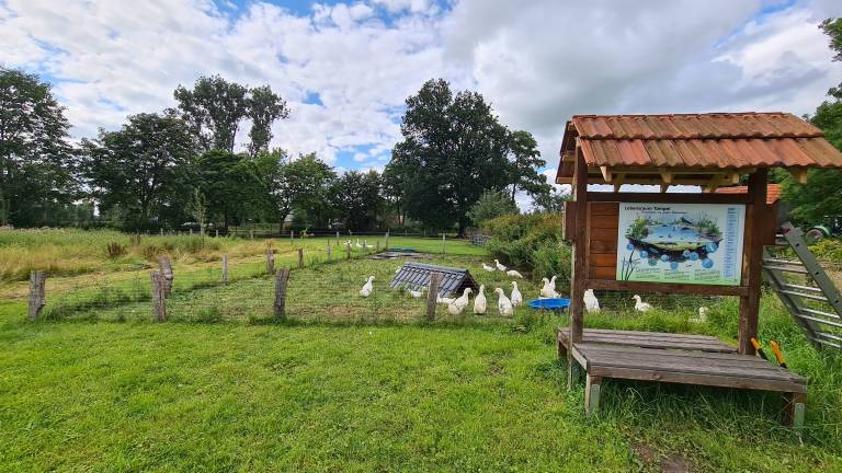 foto19