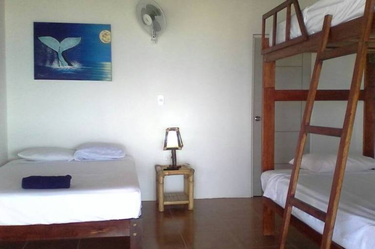 foto11