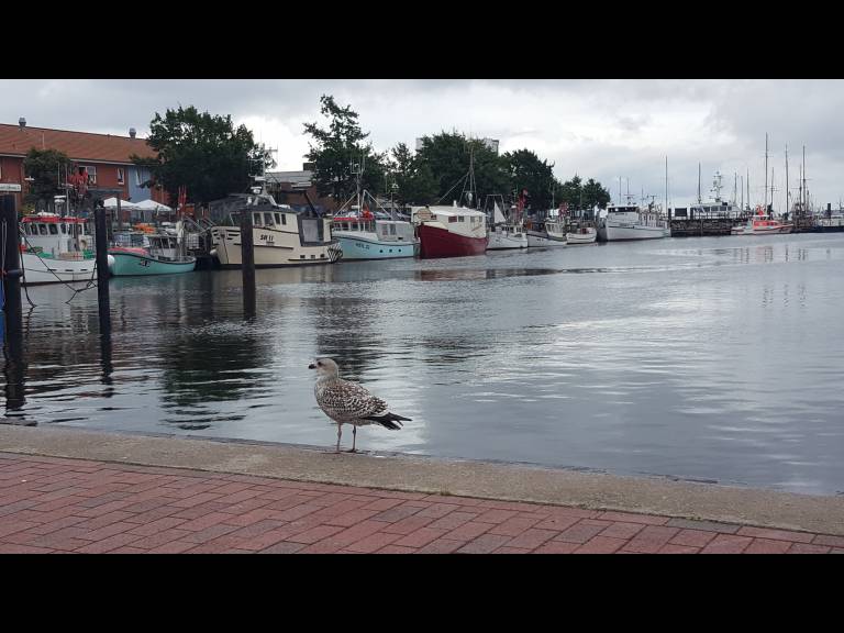 foto14