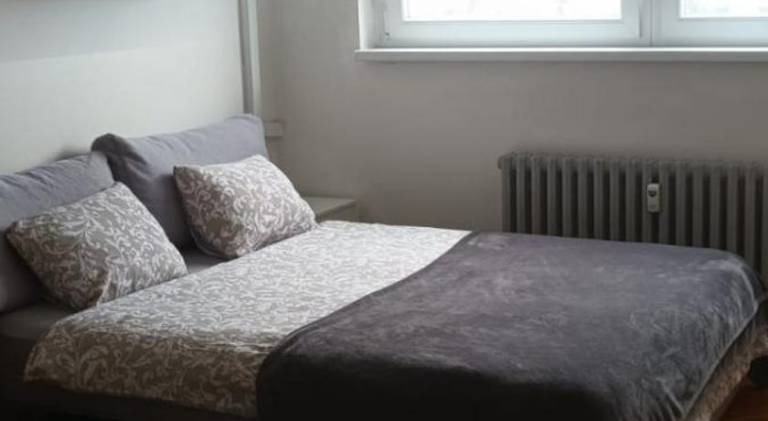 Rental apartment | Dogs allowed — photo 2