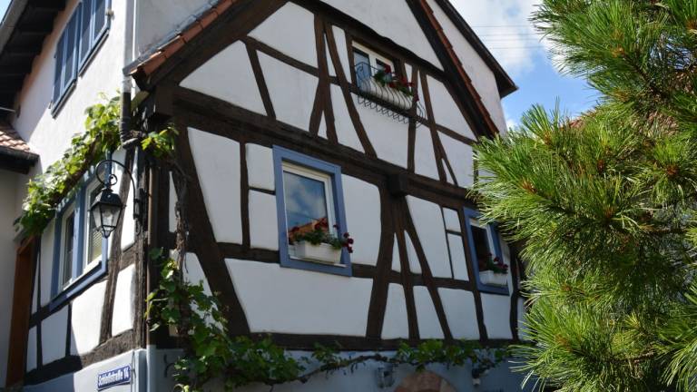 Ferienhaus Rhodt unter Rietburg