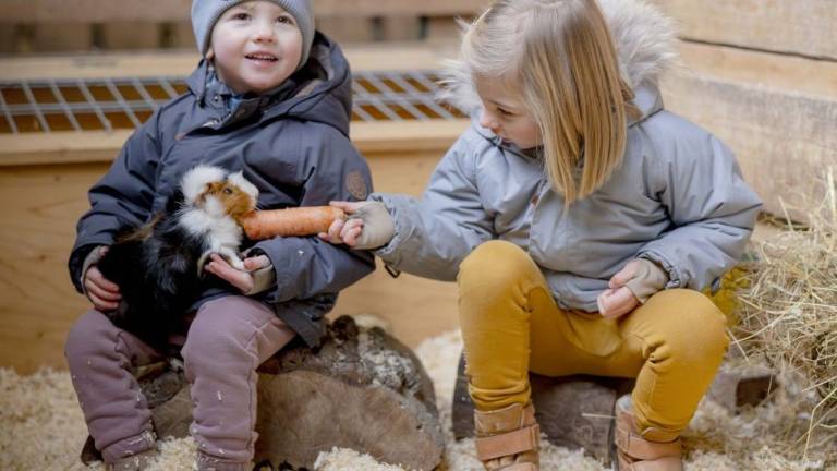 Ferienhaus  Oberwesel