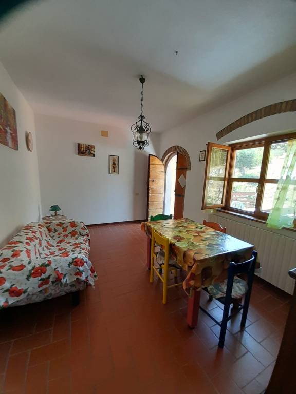 foto7