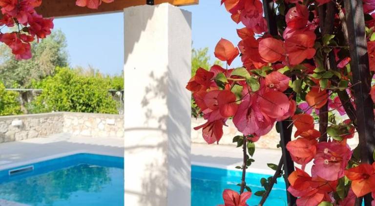 House with pool | Pets are welcome in Rhodes