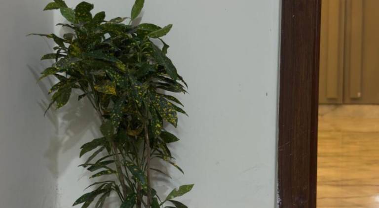 foto41