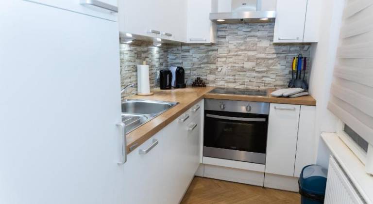 Schonbrunn Palace luxury Apartment 5 min walk — photo 4