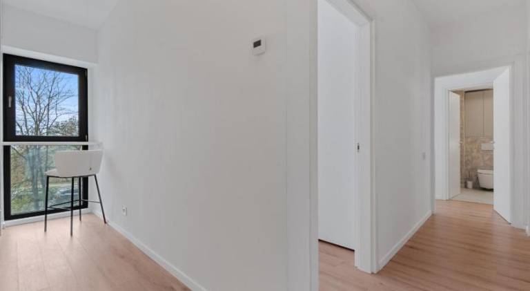 foto12