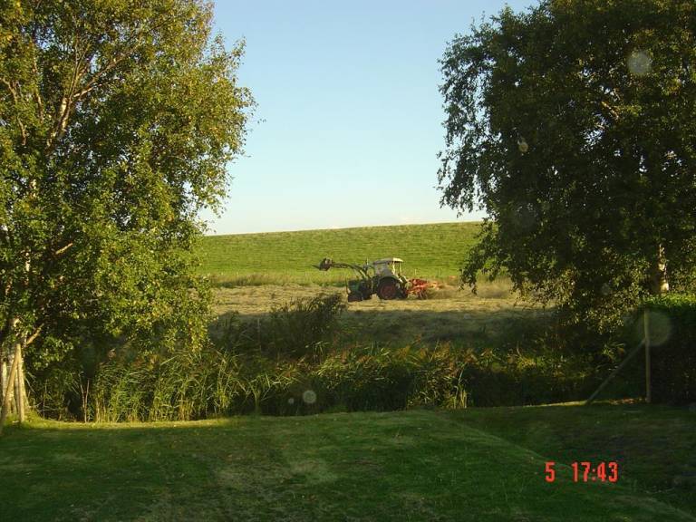 foto20