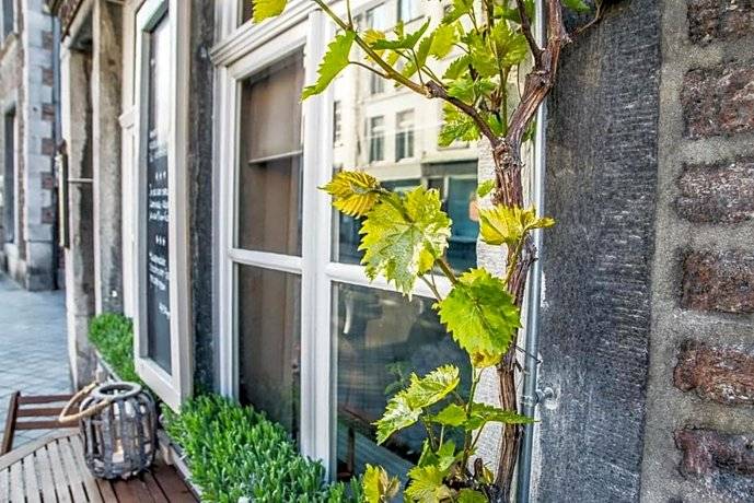 Bed & Breakfast Statenkwartier