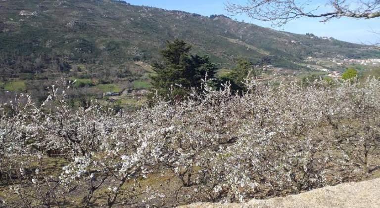 foto47