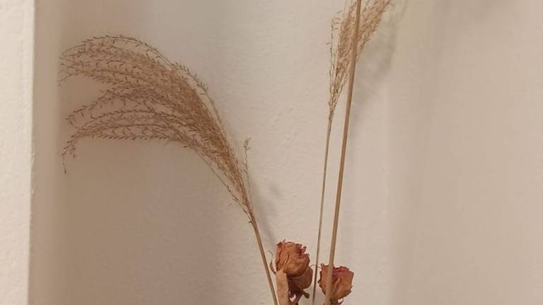 foto17