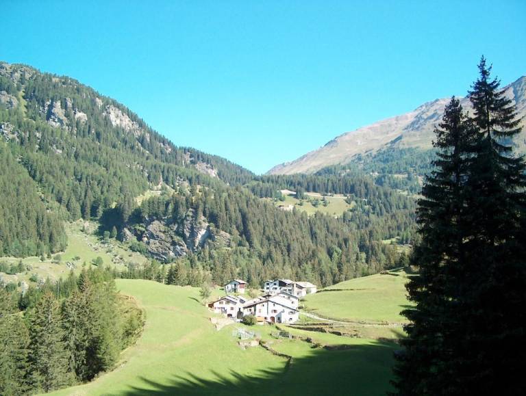 foto1