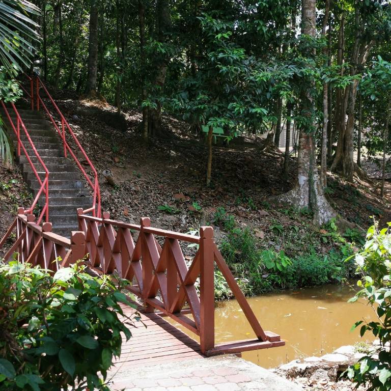 foto6