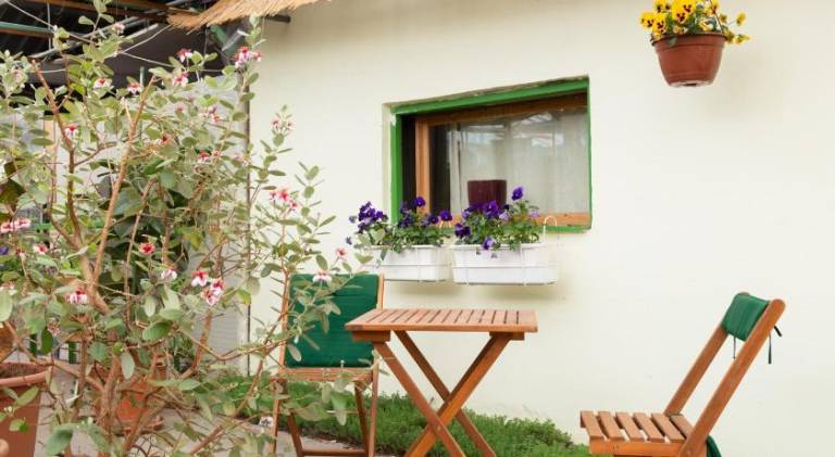 Rastlinky. sk Greenhouse Guestrooms — photo 3