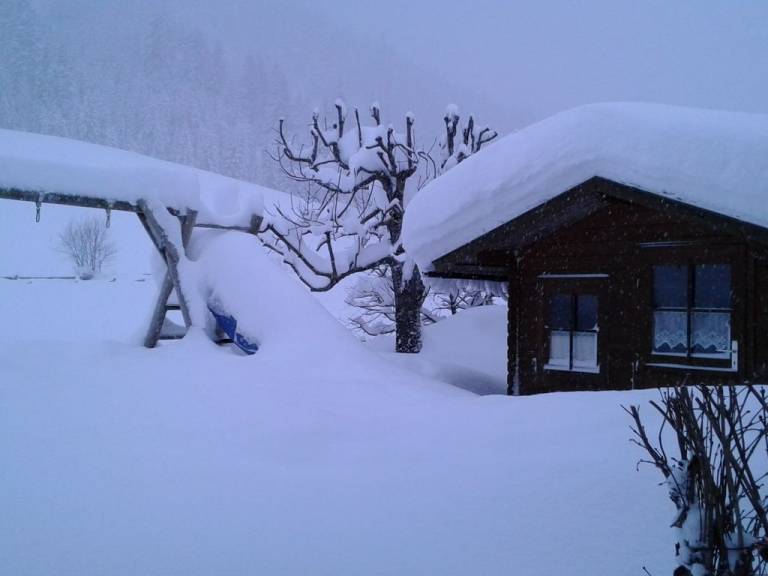 foto31
