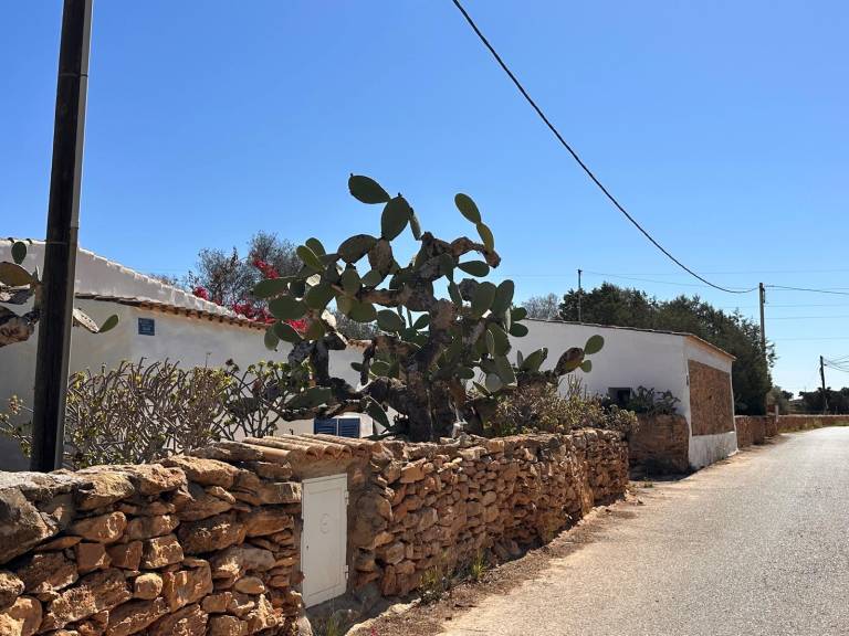 hiša Formentera
