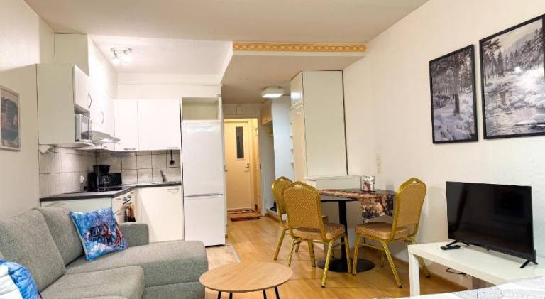 Apartment with 1 room for 3 persons — photo 2