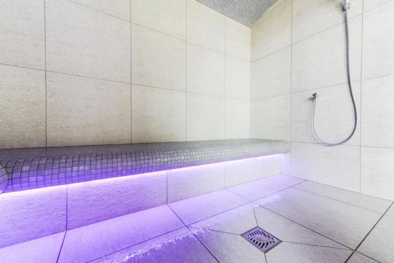Rental apartment with pool & sauna | Pets allowed in Combloux