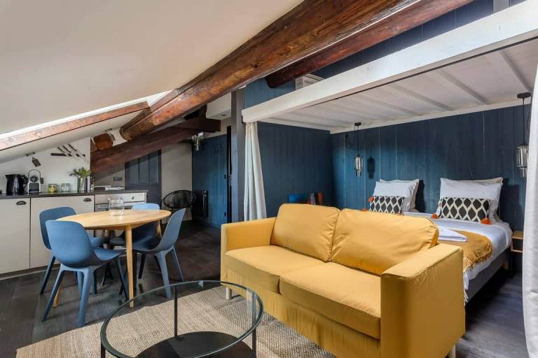 Roofy Furnished apartment Downtown Lyon