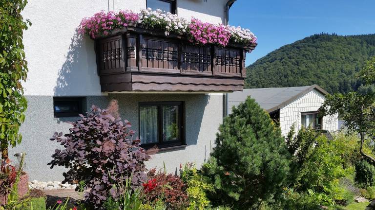foto9