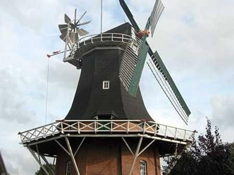 foto33