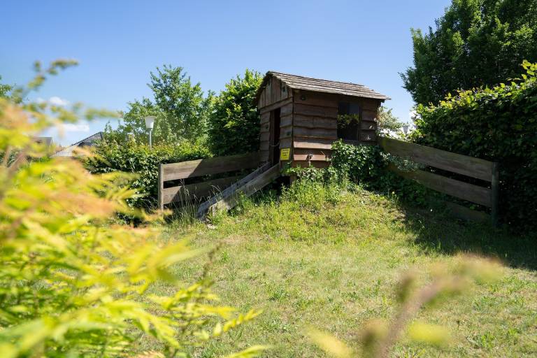 foto42