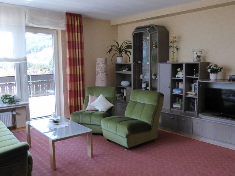 Rental apartment with BBQ, yard & fast internet | City view — photo 3