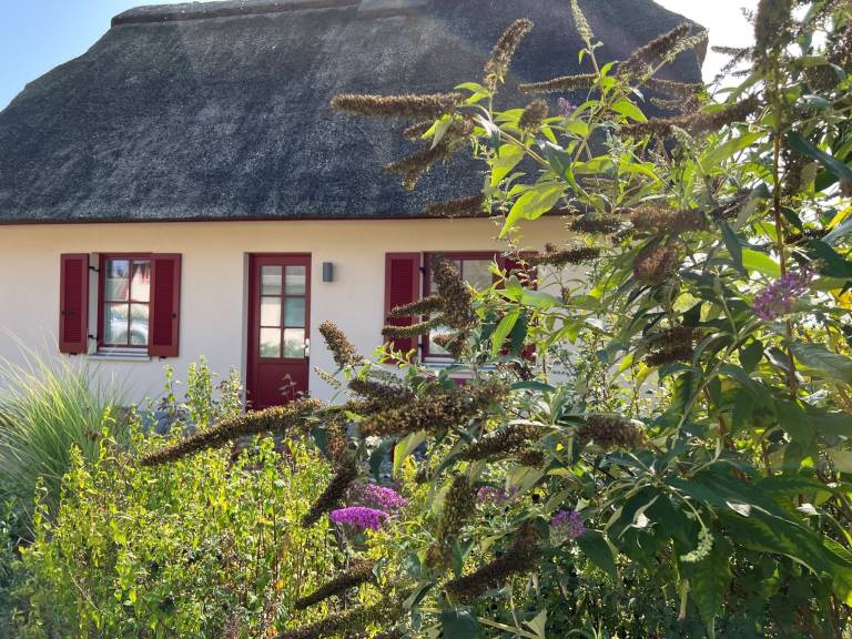 Ferienhaus Zierow