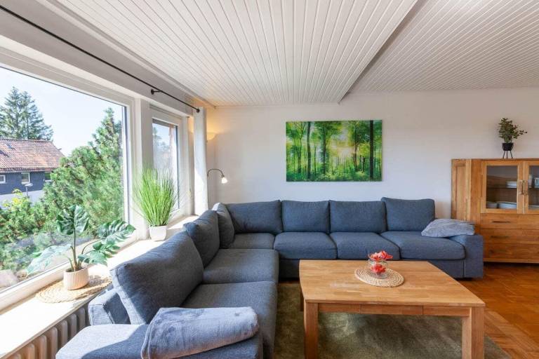 Vacation home with terrace, barbecue & yard in Braunlage