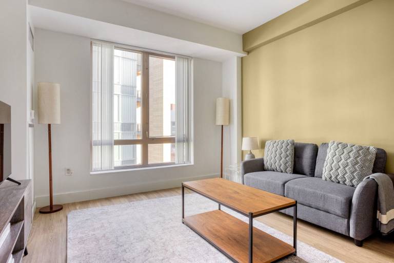 Apartment  North Brookline