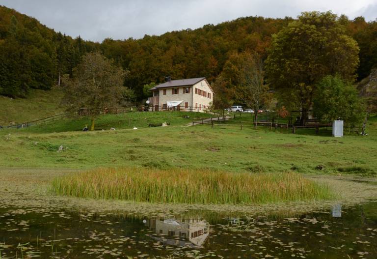 foto46