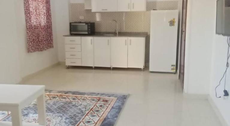 Rental apartment | Near Luxor Temple | Pets are welcome in Luxor