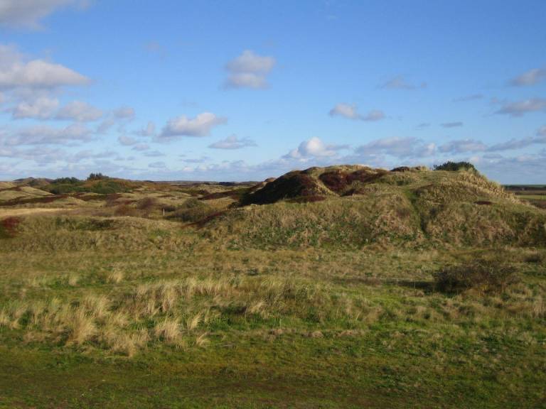 Ferienhaus  Langeoog