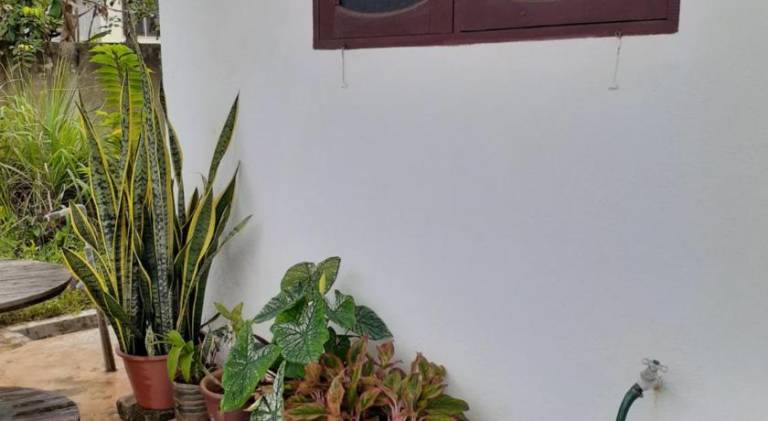 foto23