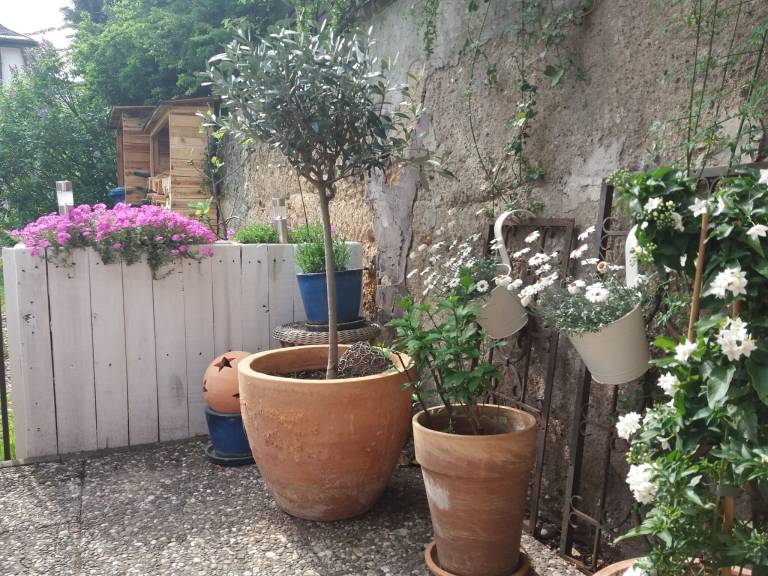 foto15