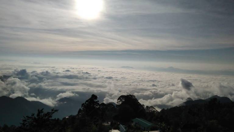 Hostel Jerusalem in Kodaikanal