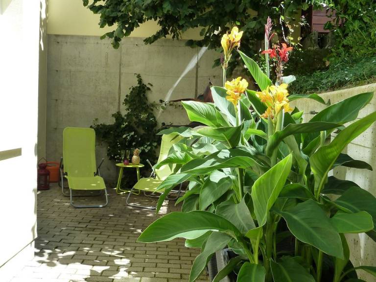 foto41