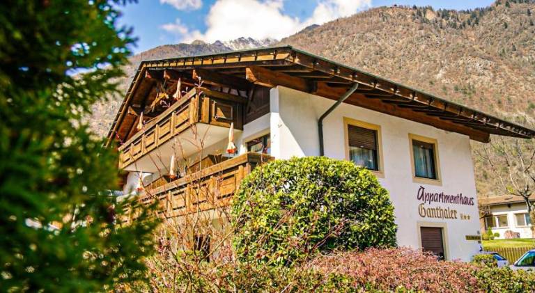 Rental apartment | Suitable for remote work | Pets are welcome in Parcines