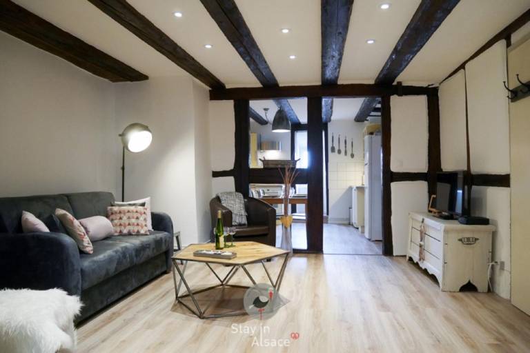Apartment with 2 rooms for 6 persons in Colmar