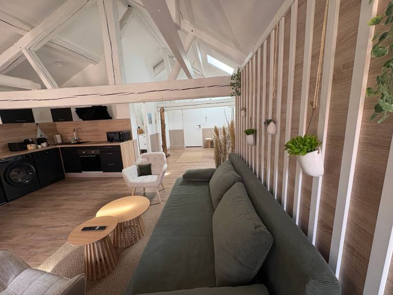 Divodurum Apartment in the Heart of Metz – Modern, Renovated, Up to 4 Guests — photo 4