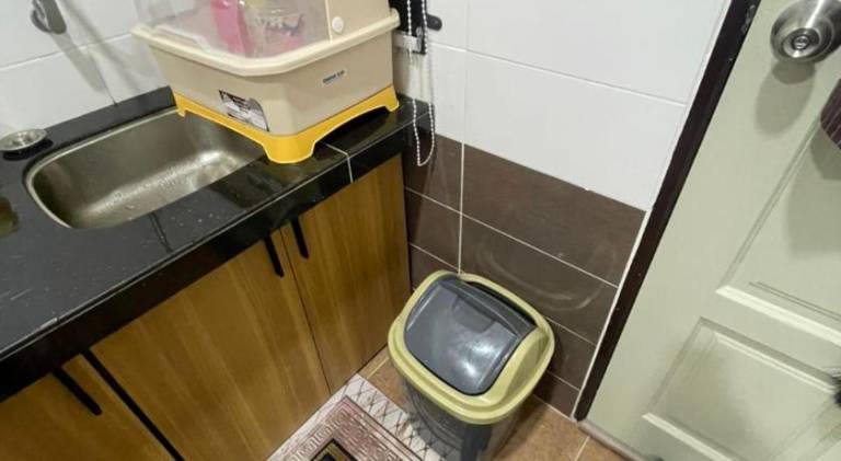 foto11