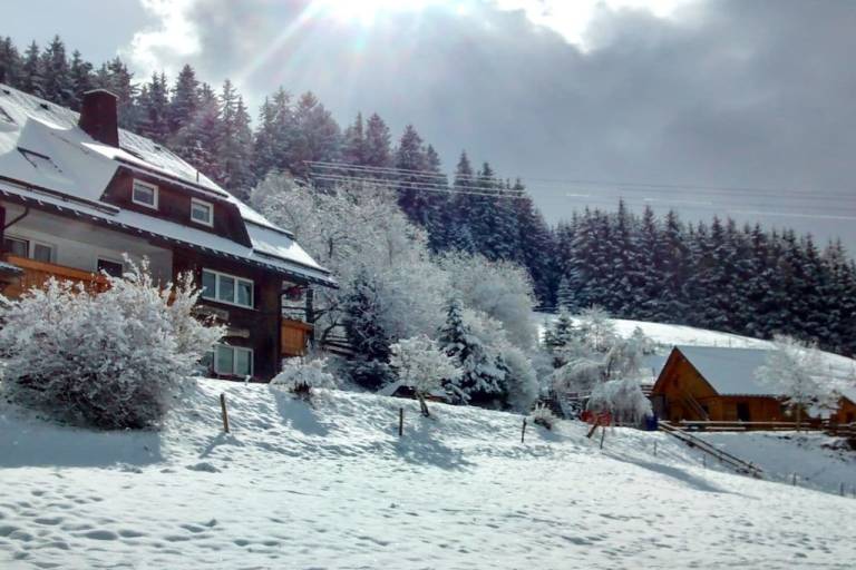 Ferienhaus mit Hund in Schwärzenbach, Titisee-Neustadt für max. 4 Personen Ferienhaus mit Hund in Schwärzenbach, Titisee-Neustadt für max. 4 Personen