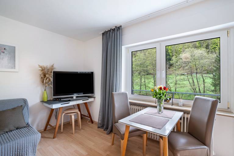 Studio with fast internet | River view | Perfect for remote work — photo 2