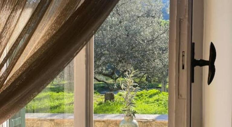 Apartment with garden & terrace | Pets are welcome — photo 4