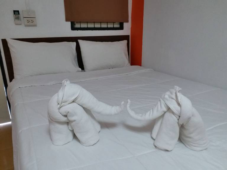 foto15