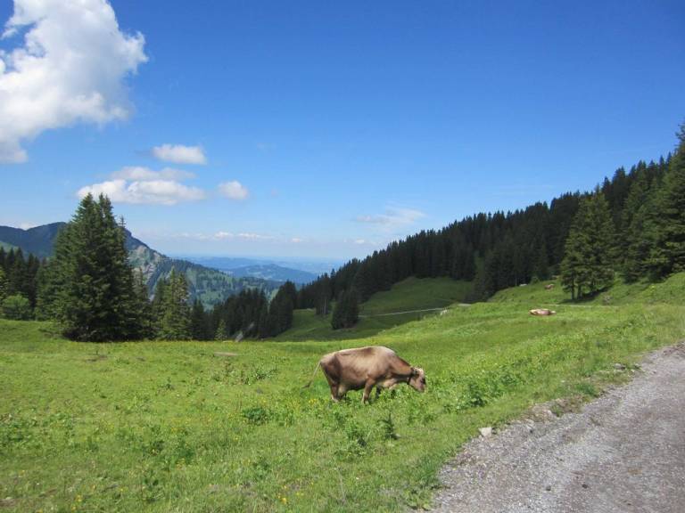 foto21