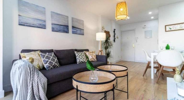 Wonderful rental apartment | Pets are welcome in Seville