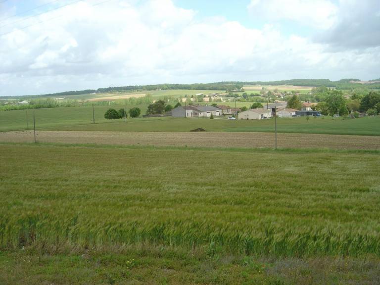 foto4